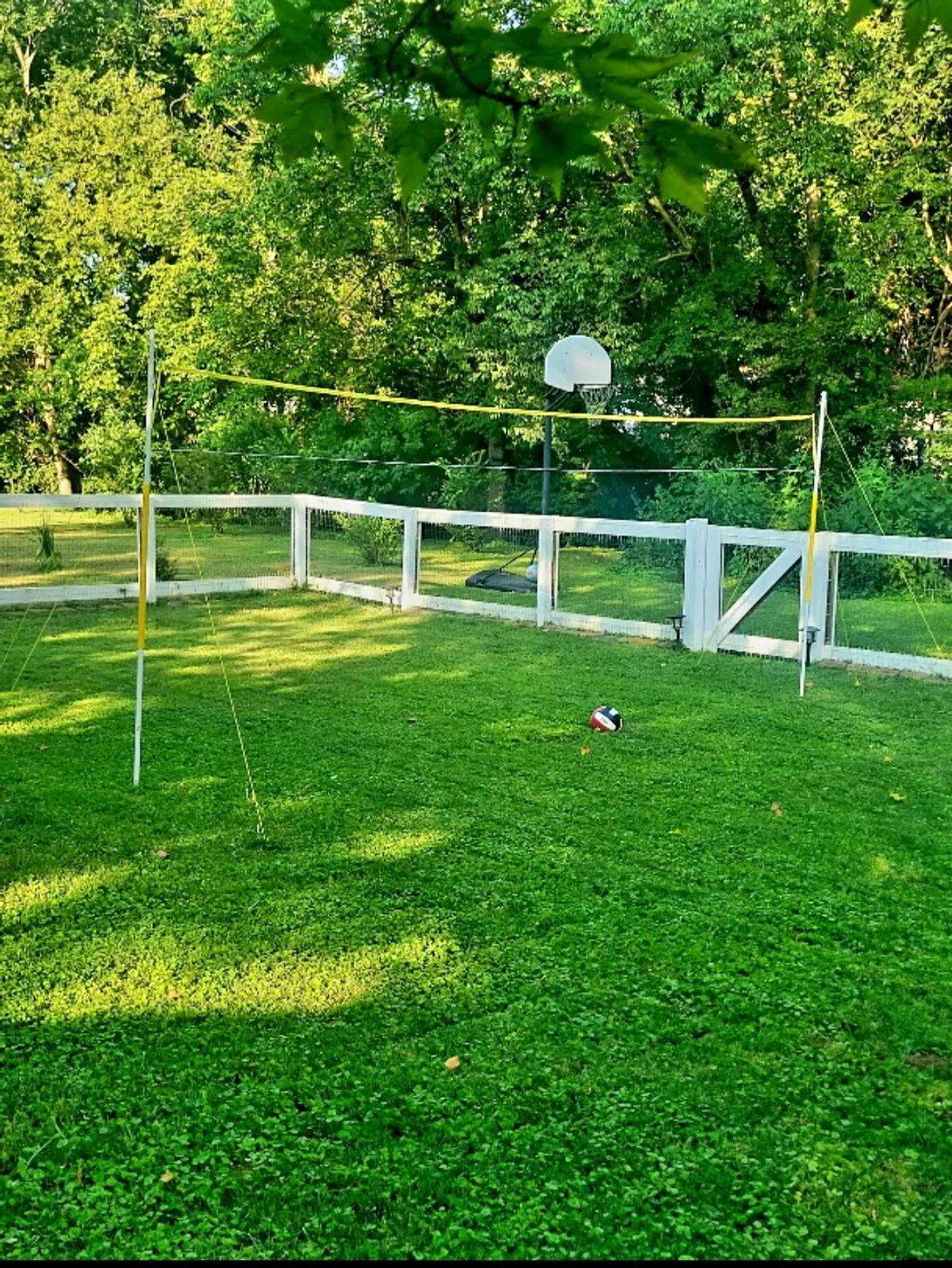 This image features a vibrant backyard lawn with a volleyball net and a basketball hoop, suggesting active play and group competitions. The expansive green space creates an inviting atmosphere for outdoor sports and gatherings.